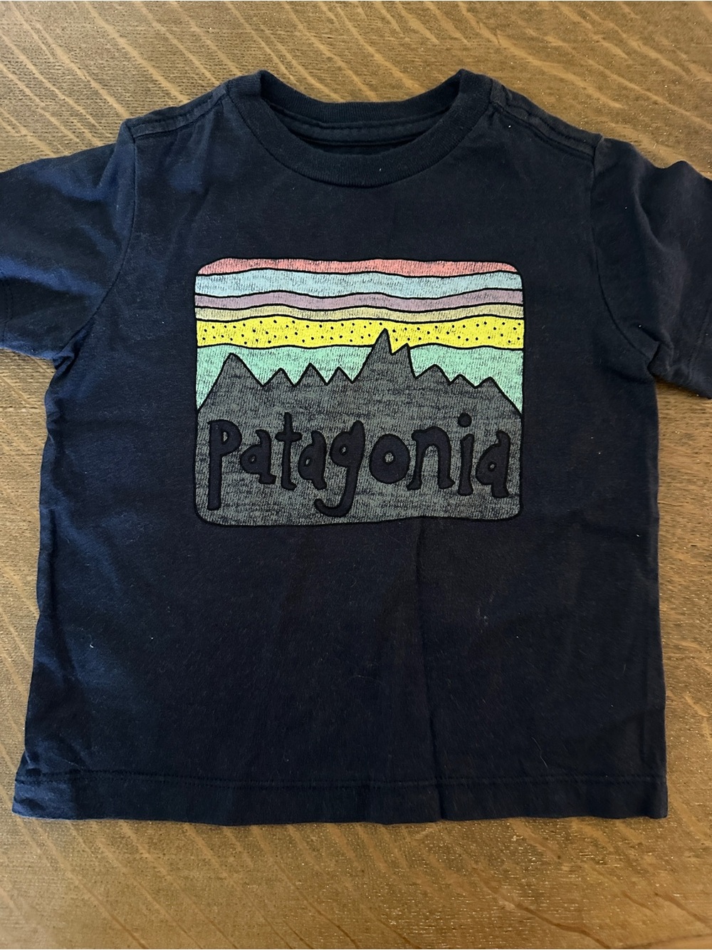 Patagonia Kids Navy Tee with Multicolor Mountain Graphic